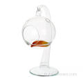 Cadeau moderne en verre Orb Planters Terrarium Hanging